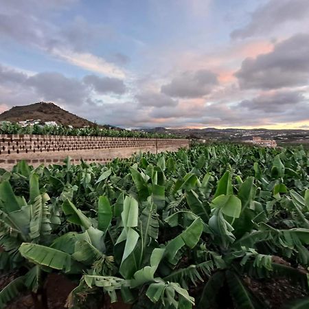 ארוקאס Rk Hacienda La Rekompensa מראה חיצוני תמונה