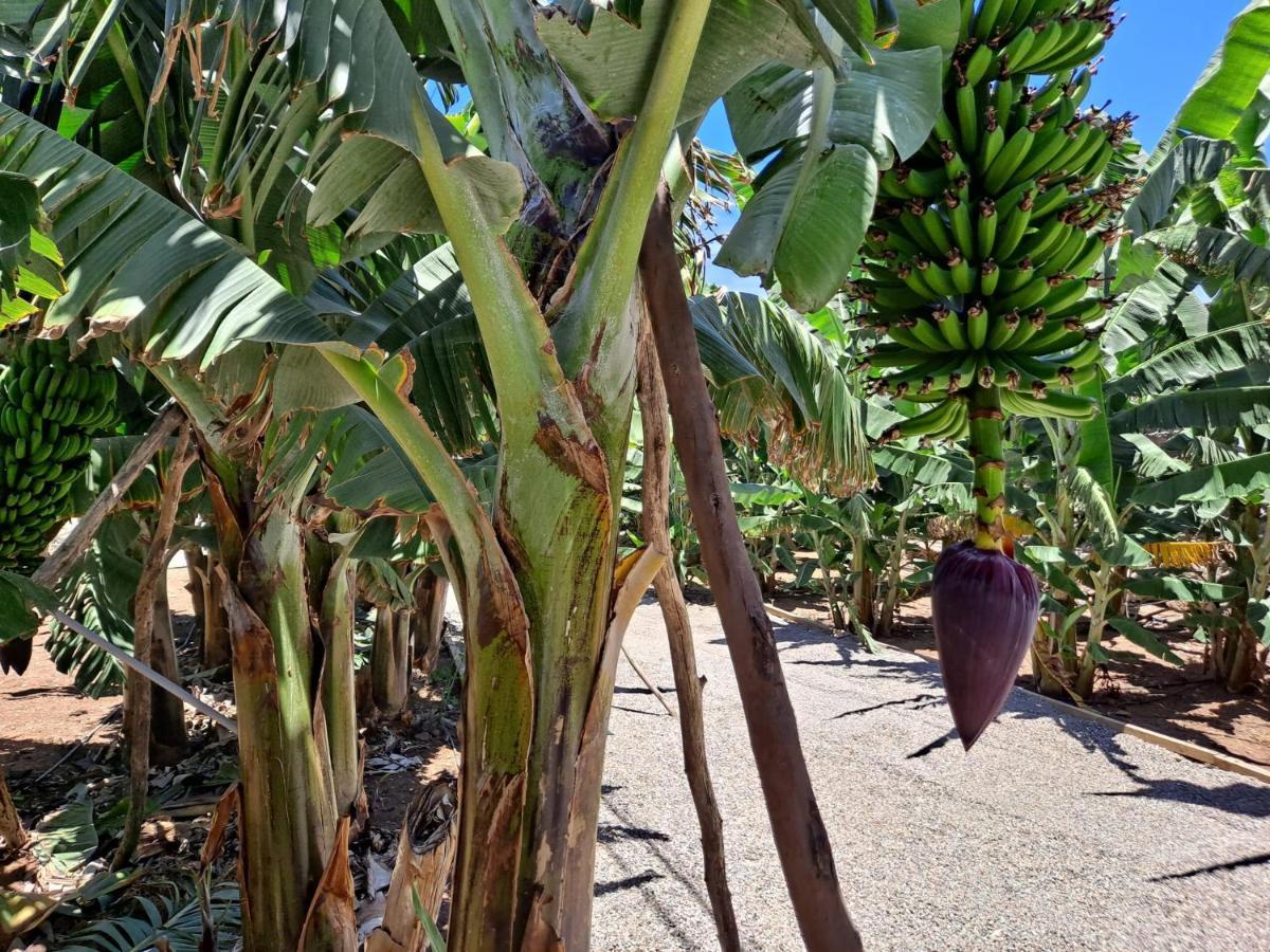 הוילה ארוקאס Rk Hacienda La Rekompensa מראה חיצוני תמונה