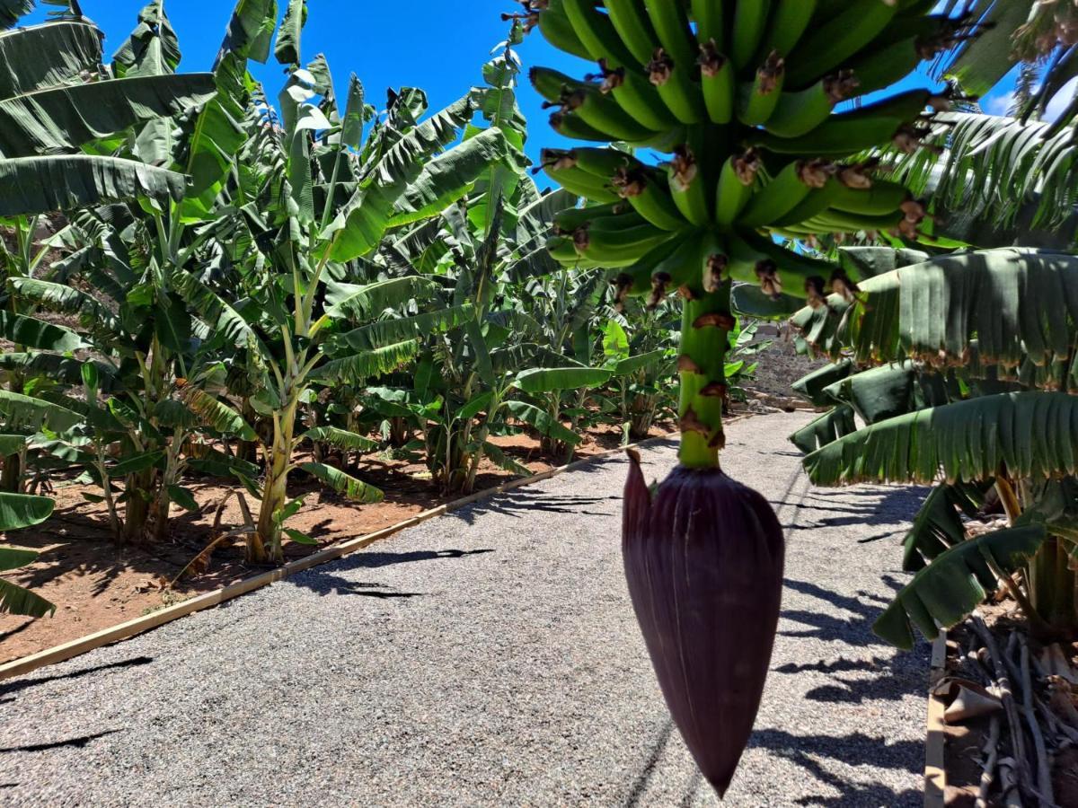 הוילה ארוקאס Rk Hacienda La Rekompensa מראה חיצוני תמונה