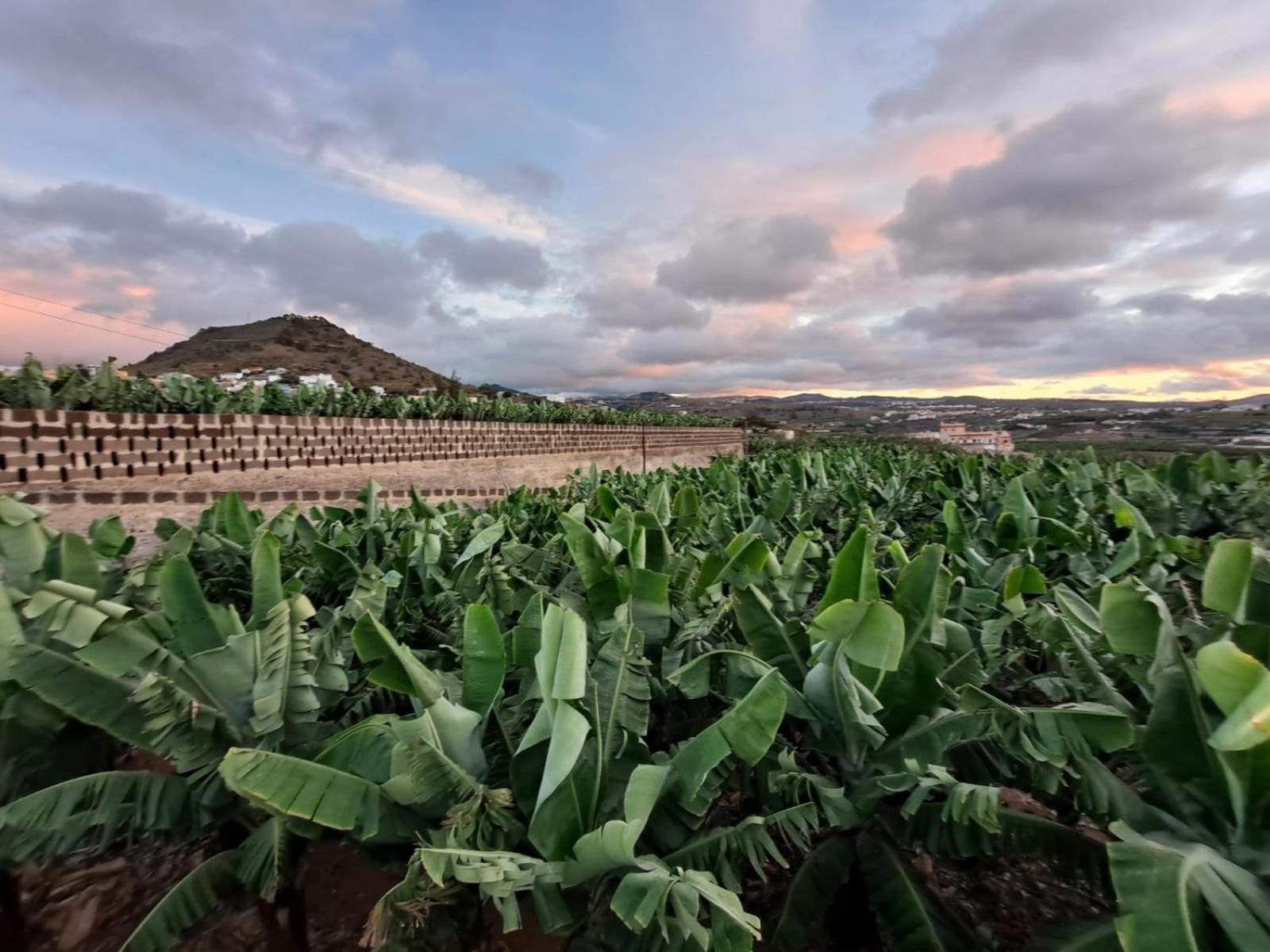 הוילה ארוקאס Rk Hacienda La Rekompensa מראה חיצוני תמונה